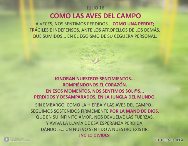 Como las aves del campo